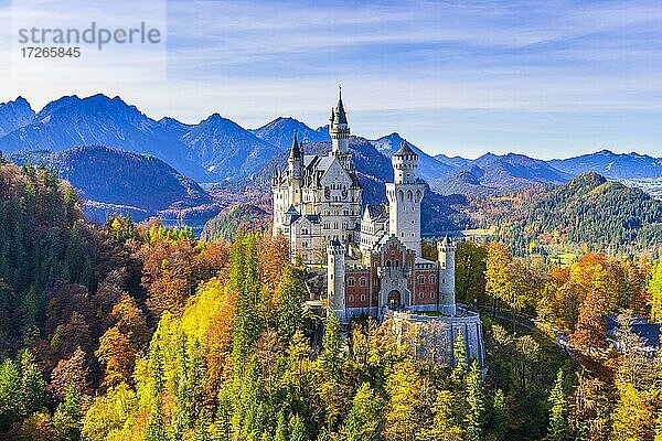 Schloss Neuschwanstein im Herbst  bei Schwangau  Ostallgäu  Allgäu  Schwaben  Bayern  Deutschland  Europa