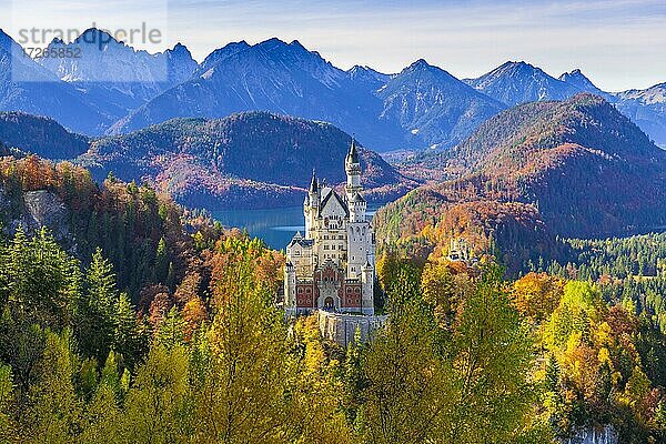 Schloss Neuschwanstein im Herbst  bei Schwangau  Ostallgäu  Allgäu  Schwaben  Bayern  Deutschland  Europa