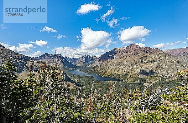 Ausblick auf den Two Medicine Lake mit Wald  Wanderweg zum Scenic Point  Glacier National Park  Montana  USA  Nordamerika
