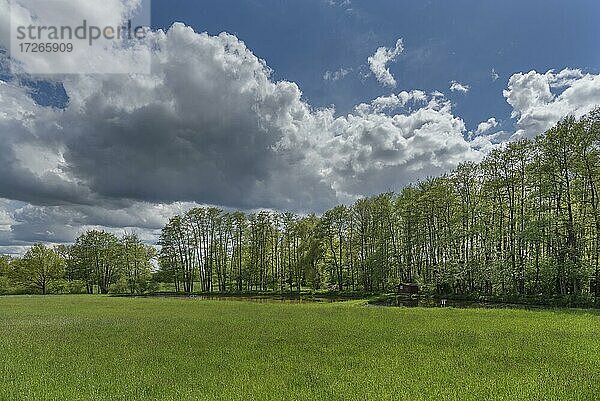 Frühlingslandschaft mit Wolkenhimmel  Bayern  Deutschland  Europa