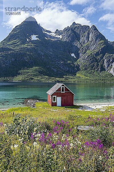 Rote Fischerhütte am Ufer  Rorbuer Hütte  Fjord Raftsund und Berge  Vesterålen  Norwegen  Europa