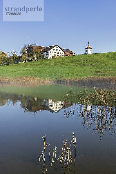 Bauernhof mit Kapelle am Hegratsrieder See  Wasserspiegelung  bei Füssen  Allgäu  Bayern  Deutschland  Europa
