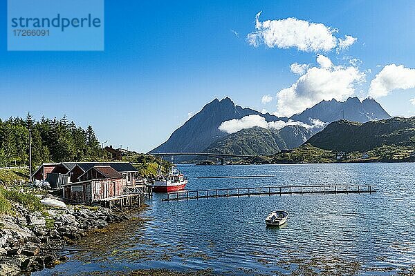 Kleine Fischerdörfer entlang eines Fjords  Lofoten  Norwegen  Europa