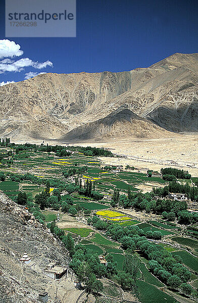 Indien  Ladakh  Leh District  Nubra Valley  Landschaft mit Himalaya und grünem Tal vom buddhistischen Lamayuru-Kloster aus gesehen