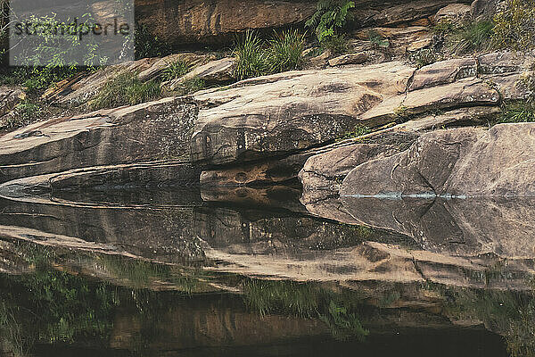 Australien  New South Wales  Sandsteinfelsen spiegeln sich im Jellybean Pool im Blue Mountains National Park