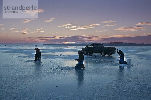 Eisfischen  an der Sand Bar  auf gefrorenem  Lack Champlain  Milton  Verrmont  USA  Nordamerika