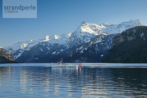 Aussicht von Brunnen auf ein Kursschiff auf dem Urnersee vor Bergkulisse der Urner Alpen  Schweiz  Europa
