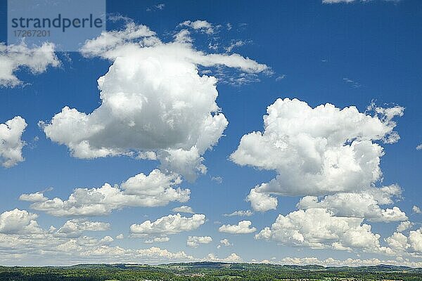 Schöne weiße Quellwolken am blauen Himmel  Schweiz  Europa