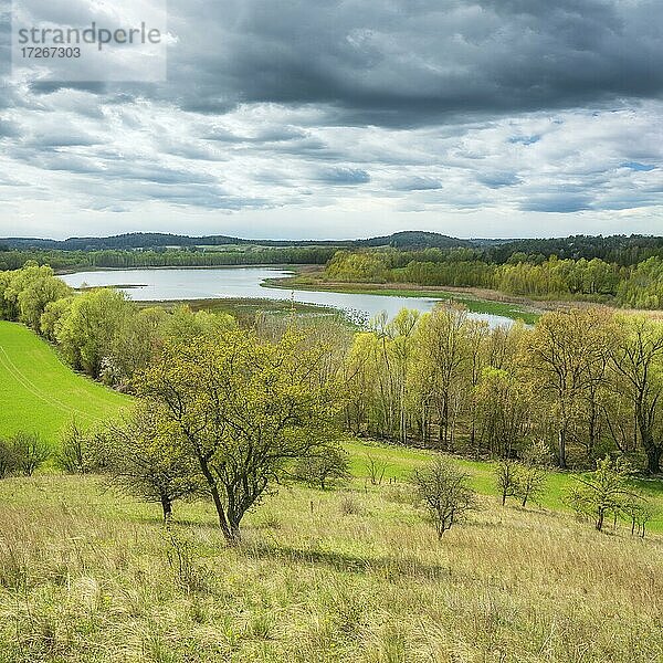 Typische Landschaft der Uckermark im Frühling  Ausblick auf den Wesensee  Biosphärenreservat Schorfheide-Chorin  bei Chorin  Brandenburg  Deutschland  Europa