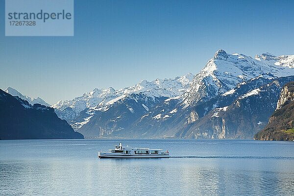 Aussicht von Brunnen auf ein Kursschiff auf dem Urnersee vor Bergkulisse der Urner Alpen  Schweiz  Europa