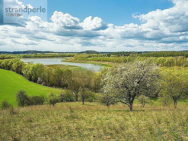 Typische Landschaft der Uckermark im Frühling  Ausblick auf den Wesensee  Biosphärenreservat Schorfheide-Chorin  bei Chorin  Brandenburg  Deutschland  Europa