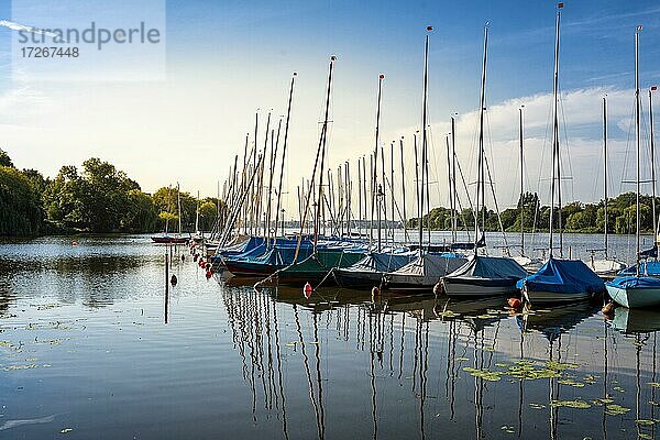 Mit blauer Regenplane abgedeckte Segelboote auf der Außenalster in Hamburg  Hamburg  Deutschland  Europa