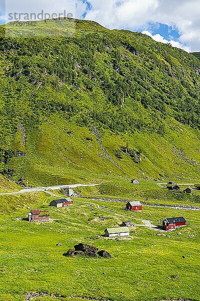 Bauernhäuser in einem grünen Tal bei Skei  Norwegen  Europa
