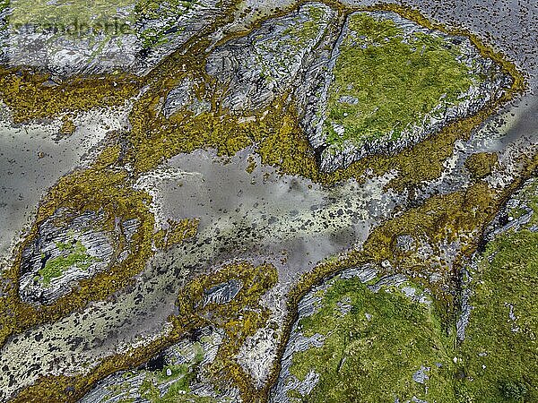 Luftaufnahme der zerklüfteten Küstenlinie des Unesco-Weltkulturerbes Vega-Archipel  Norwegen  Europa