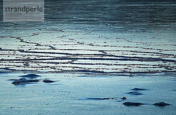 Eisscholle  zugefrorener Fjord  Laksefjord  Lebesby  Norwegen  Europa