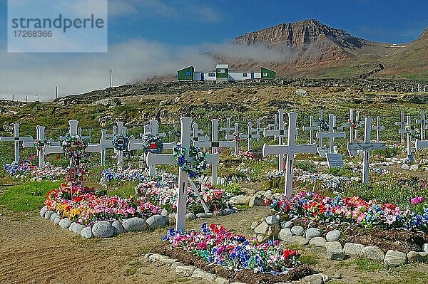 Friedhof mit Holzkreuzen  Kunstblumen  Diskoinsel  Grönland  Nordamerika