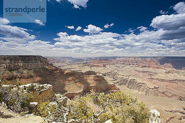 Landschaft des Grand Canyon  Arizona