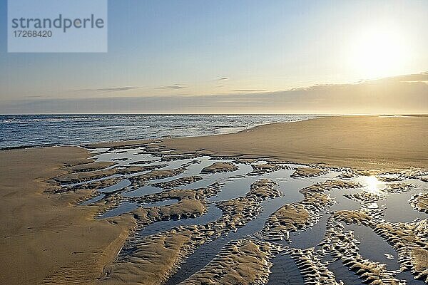 Sandstrand mit Rippelmuster  Spiekeroog  Ostfriesische Insel  Ostfriesland  Niedersachsen  Deutschland  Europa