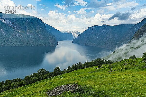 Blick über den Aurlandsfjord  Aurland  Norwegen  Europa