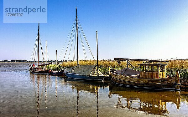 Segelschiffe am Bodden in Norddeutschland bei Zingst  Mecklenburg-Vorpommern  Deutschland  Europa