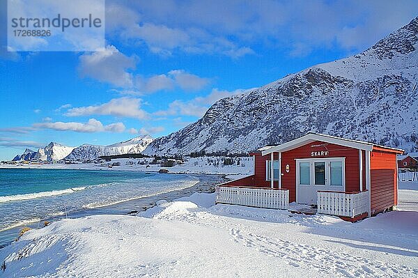 Rotes Ferienhaus im Winter  Strand und Berge  Ramberg  Lofoten  Nordland  Norwegen  Europa