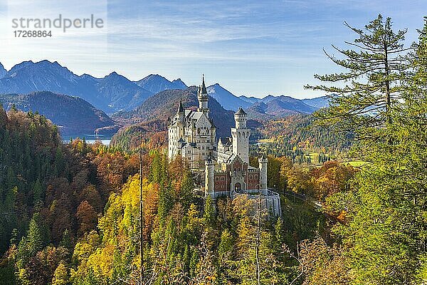 Schloss Neuschwanstein im Herbst  bei Schwangau  Ostallgäu  Allgäu  Schwaben  Bayern  Deutschland  Europa