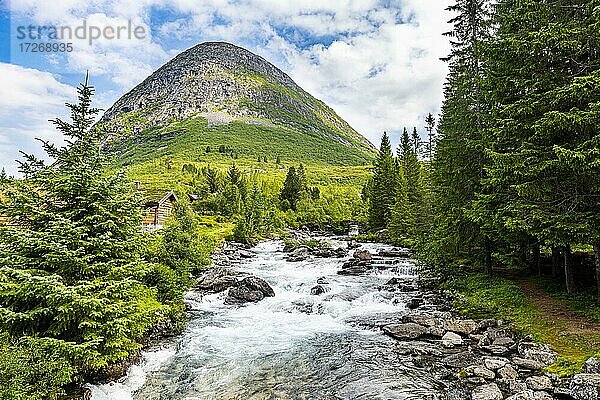 Fluss  der durch das Gletschertal fließt  Trollstigen Bergstraße  Norwegen  Europa