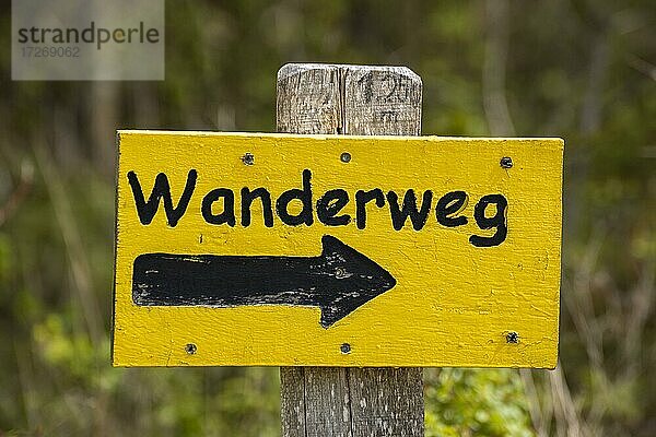 Wegweiser  Wanderweg  Naturschutzgebiet Geltinger Birk  Geltinger Bucht  Schleswig-Holstein  Deutschland  Europa