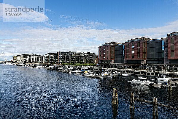 Stadthäuser entlang des Nidelva  Trondheim  Norwegen  Europa