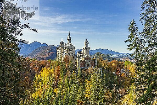 Schloss Neuschwanstein im Herbst  bei Schwangau  Ostallgäu  Allgäu  Schwaben  Bayern  Deutschland  Europa