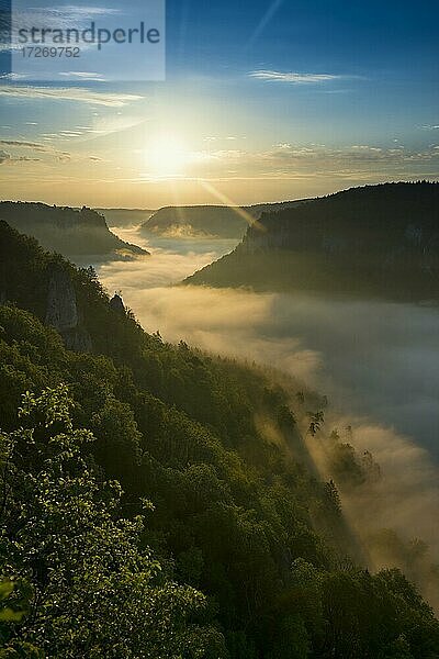 Ausblick vom Eichfelsen auf Schloss Werenwag mit Morgennebel  Sonnenaufgang  bei Irndorf  Naturpark Obere Donau  Oberes Donautal  Donau  Schwäbische Alb  Baden-Württemberg  Deutschland  Europa