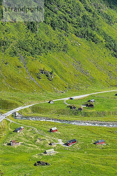 Grünes Tal bei Skei  Norwegen  Europa