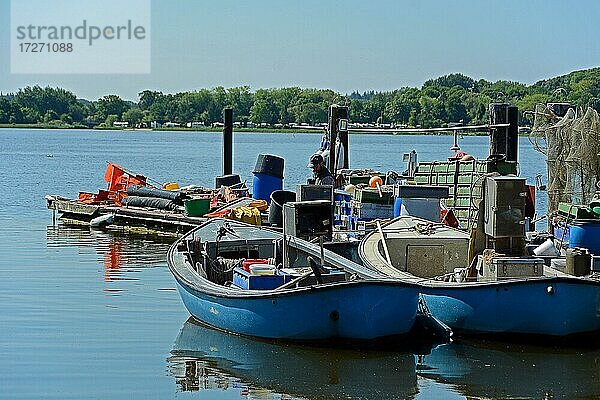 Fischerboote  Reusen und Netze  Fischersiedlung Holm  Schleswig-Holstein  Deutschland  Europa