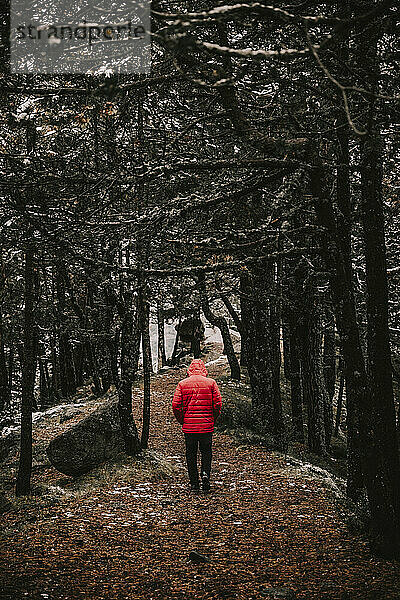 Junger Mann im Winter im Wald stehend
