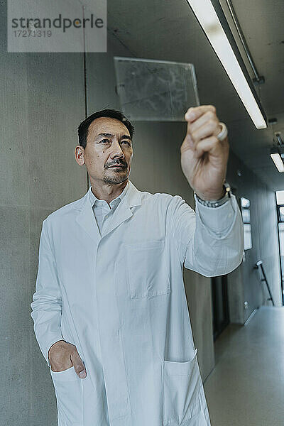 Wissenschaftlerin mit Hand in der Tasche  die eine Glasprobe des menschlichen Gehirns untersucht  während sie auf dem Klinikflur steht