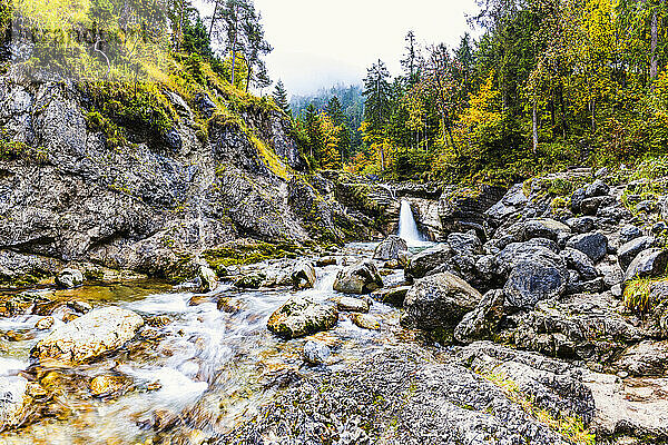 Wasserfall und Bach in Herbstlandschaft