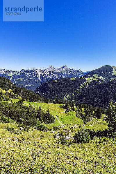 Blick auf einen klaren blauen Himmel über einem bewaldeten Tal in den Tannheimer Bergen