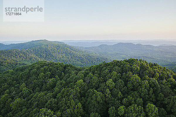 Luftaufnahme des in Morgennebel gehüllten Waldes in den Appalachen