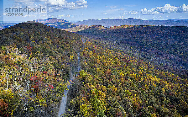 Luftaufnahme einer unbefestigten Straße in den George Washington und Jefferson National Forests im Herbst