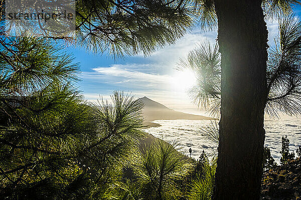 Ehrfurcht vor dem Sonnenaufgang mit Blick auf die Wolkenlandschaft und den Berg im Nationalpark El Teide  Teneriffa  Spanien