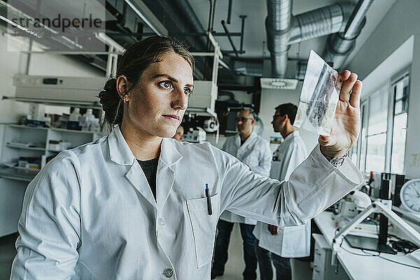 Junge Frau  die einen Objektträger mit menschlichem Gehirn untersucht  während sie mit einem Mitarbeiter im Hintergrund im Labor steht