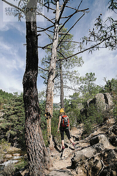 Wanderin mit Rucksack auf einem Felsenpfad im Wald bei La Pedriza  Madrid  Spanien