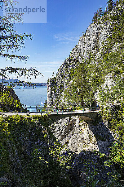 Brücke über den Lainaugraben am Traunstein  Gmunden  Traunsee  Salzkammergut  Österreich  Oberösterreich
