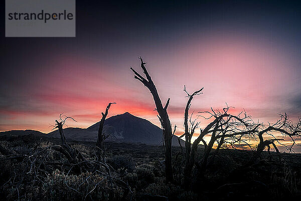 Blick auf den Sonnenuntergang über dem Berg im Nationalpark El Teide  Teneriffa  Spanien