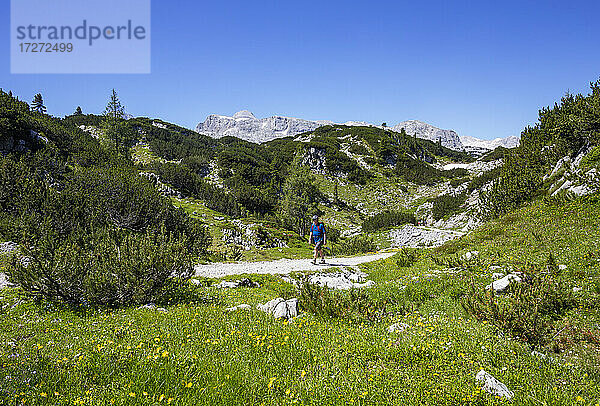 Älterer Mann beim Wandern am Hohen Dachstein im Sommer