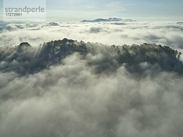 Luftaufnahme von tief hängenden Wolken  die bewaldete Hügel einhüllen