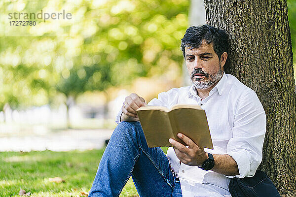 Älterer Mann liest ein Buch und lehnt sich an einen Baumstamm in einem öffentlichen Park