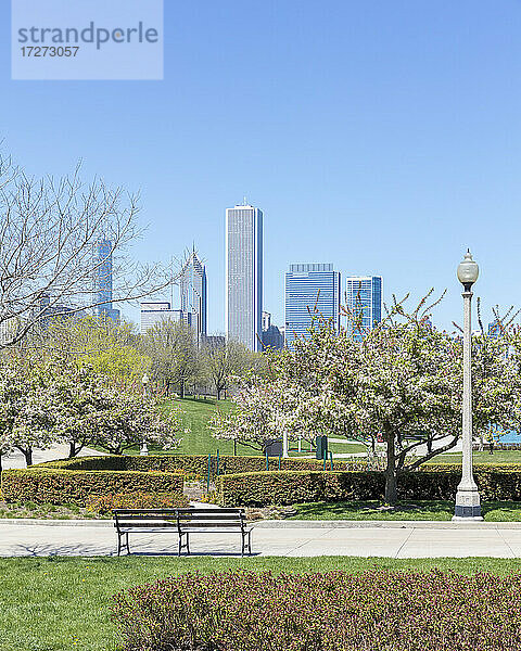 Wolkenkratzer vom Grant Park aus gesehen  Chicago  USA