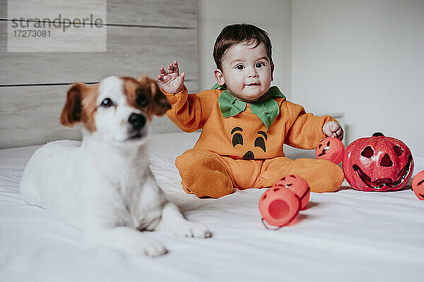 Baby-Junge trägt Halloween-Kostüm sitzt mit Hund auf dem Bett zu Hause