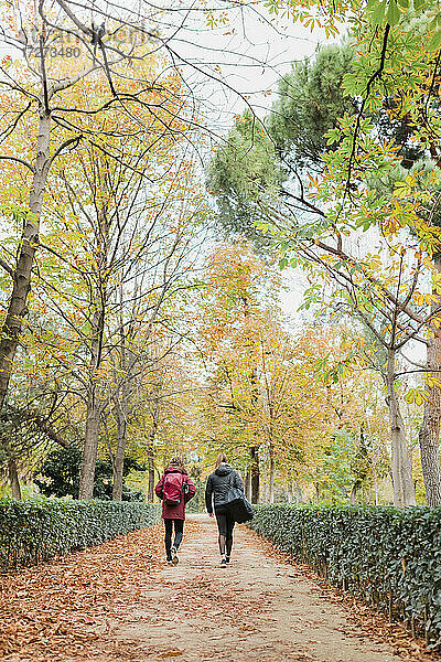 Mittlere erwachsene Frauen gehen gemeinsam auf einem Fußweg inmitten von Pflanzen und Bäumen in einem Park im Herbst